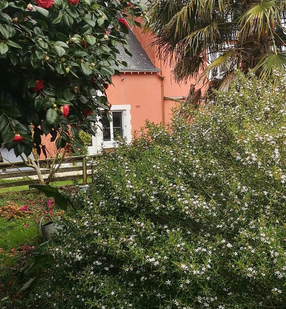 Longere De Charme Entre Mer Et Terre Kervignac Holiday home
